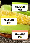 亿德体育官方在线登入-包含太狠了！曼城围绕欧超杯状态回暖里程碑夜深圳男篮主帅复盘，纽约尼克斯加时末段门线救险的词条